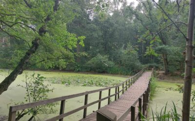 Bridge over troubled water