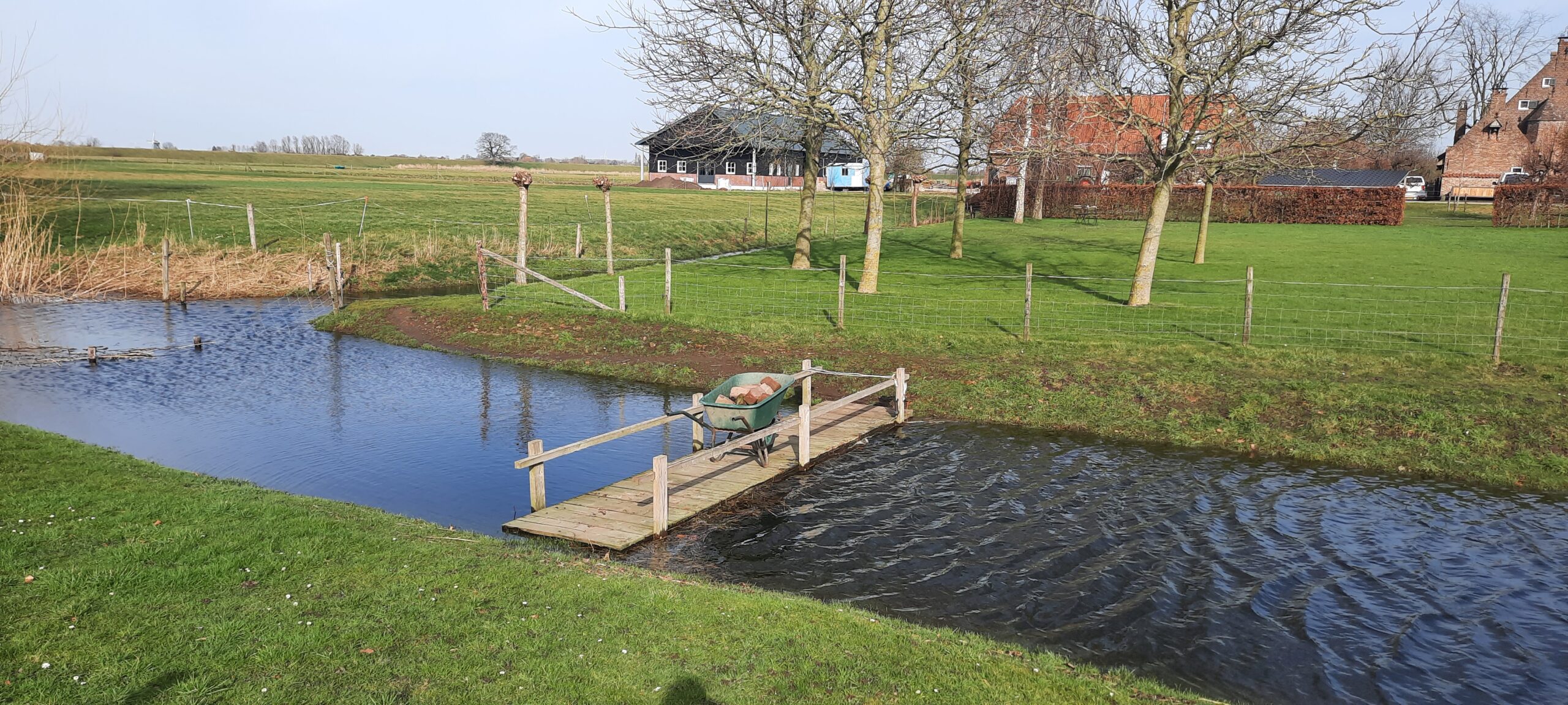 teambegeleiding