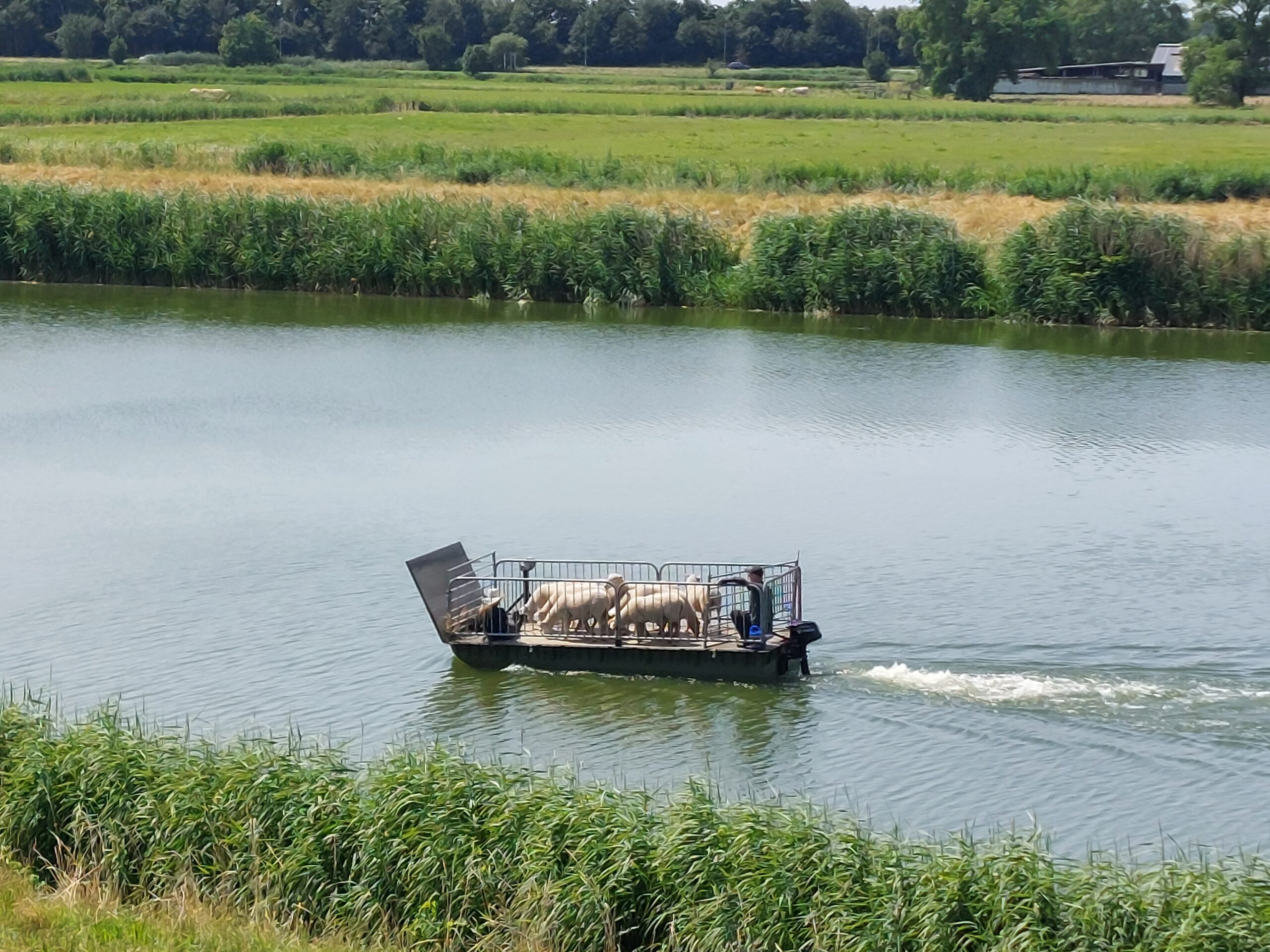 leiderschapsbegeleiding leiderschapsbegeleiding